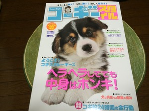コーギースタイル 犬種 犬専門誌