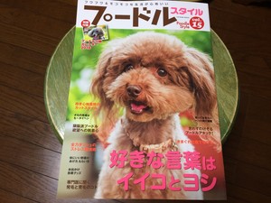 プードルスタイル 犬雑誌