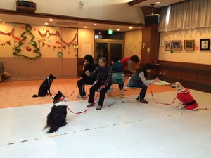 犬とクリスマス会 埼玉