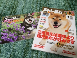 犬のカレンダー 犬雑誌モデル