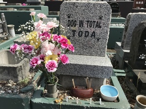 愛犬のお墓