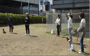 しつけ教室 講師 さいたま市