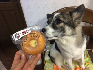 ドーナツ 犬用 お菓子川越