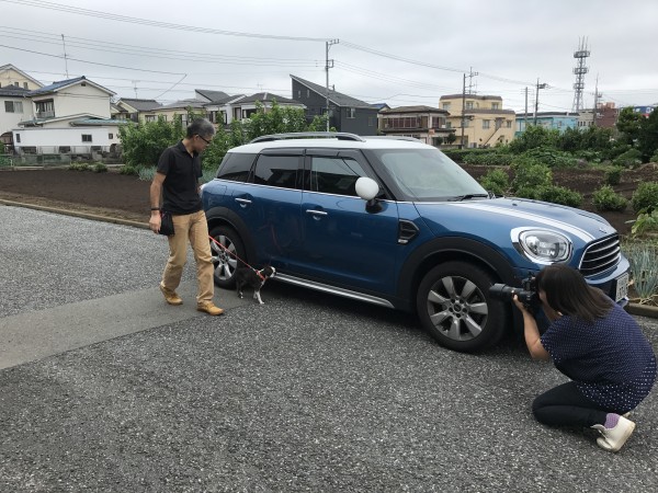 撮影慣れした犬サムネイル