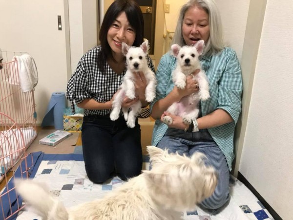 ウエスティ のち 餃子サムネイル