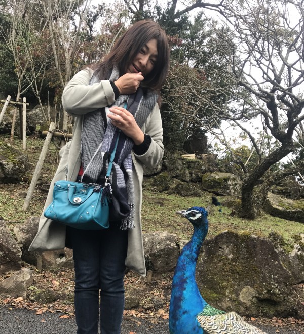 犬を迎える前にご相談サムネイル
