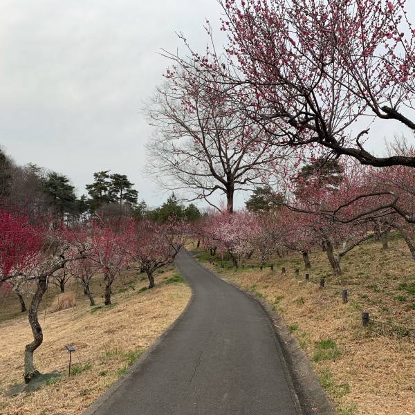 幸せ犬生を送って欲しい！サムネイル