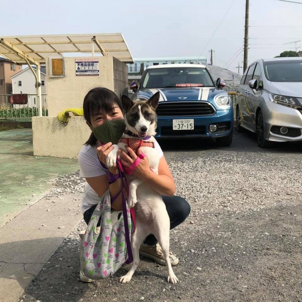 トリマーさんが大好きな犬サムネイル