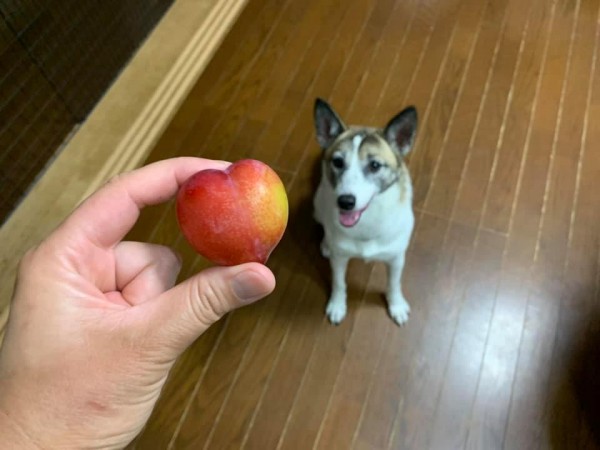 雨のやみ間にお散歩行けたよ！サムネイル