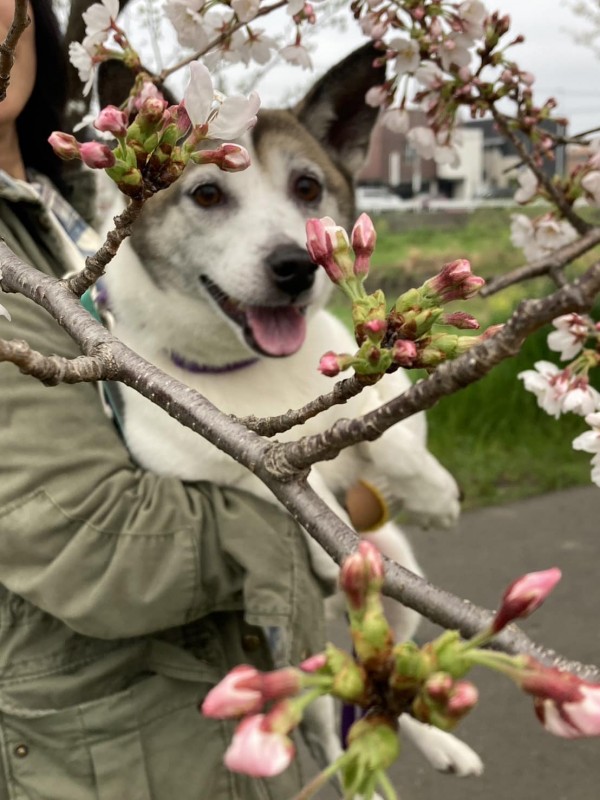 飼い主 反省サムネイル