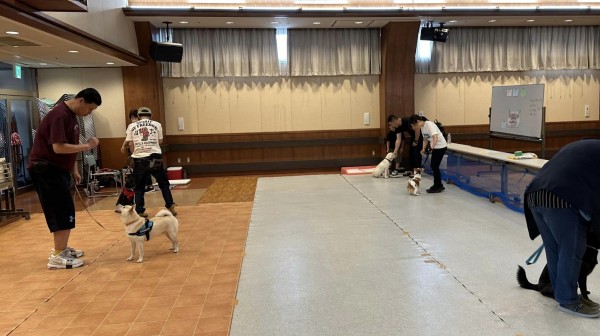 ノリが同じ犬達サムネイル