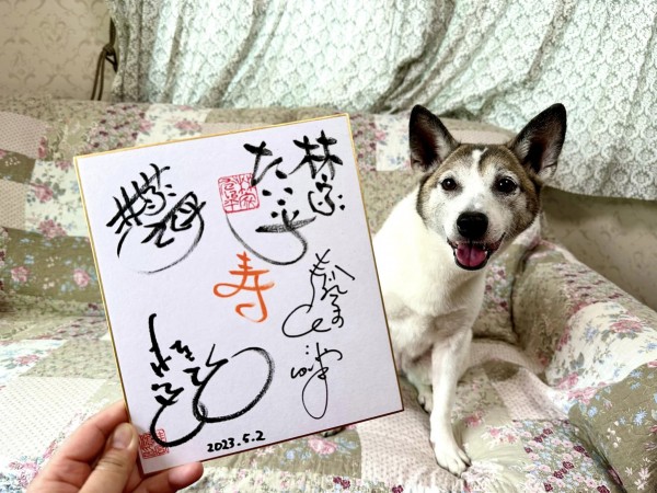 アンケートに答えまして・・・サムネイル