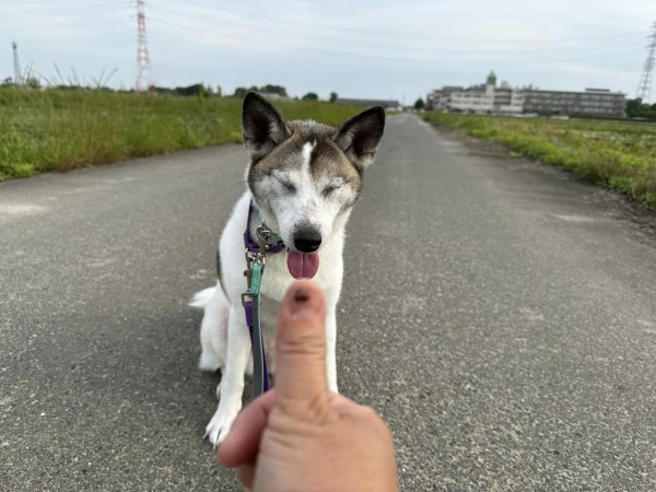 間違えて・・・サムネイル