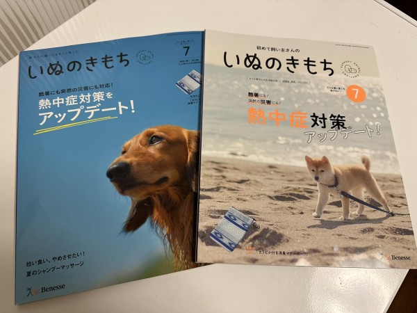 再掲載されていますサムネイル