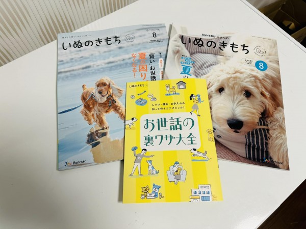 再掲載されていますサムネイル