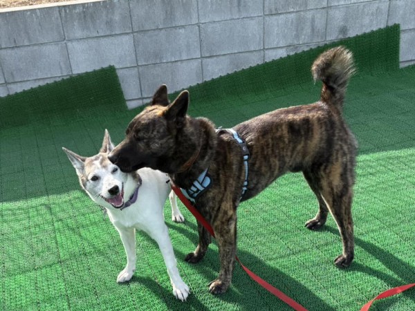 ご指名レッスンサムネイル