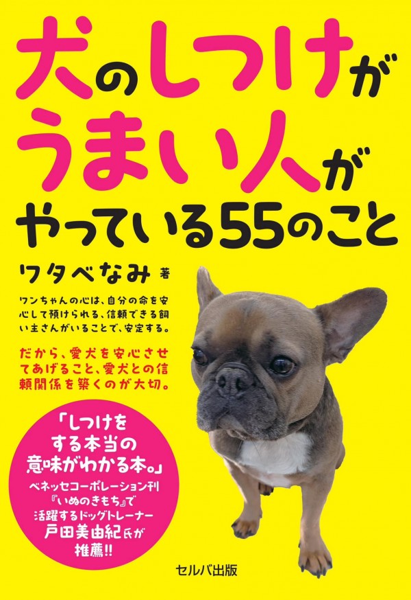 本の帯紹介文を・・・サムネイル