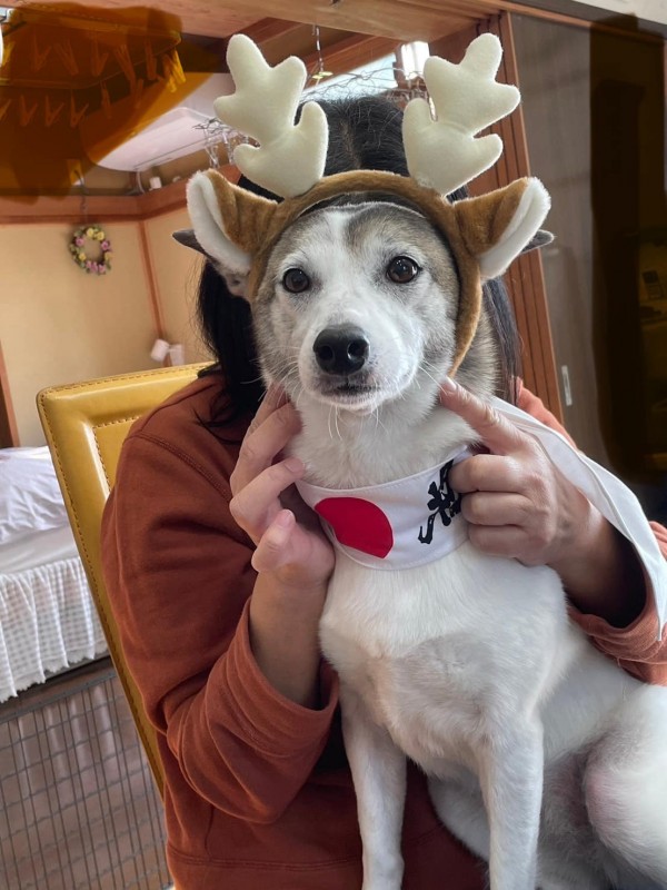愛犬の導き方、共有出来ていますか？サムネイル