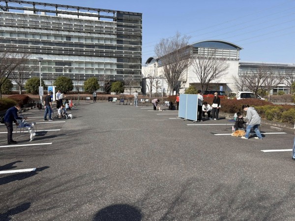 保健所主催 しつけ方教室 午後の部サムネイル