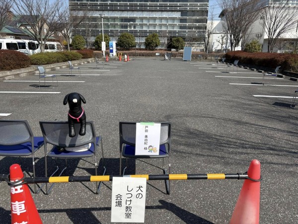 保健所主催 しつけ方教室 午前の部サムネイル