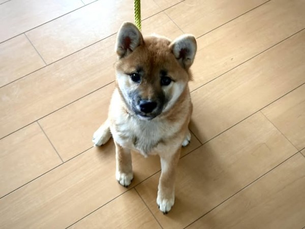 嬉しいキモチサムネイル