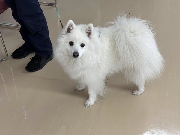 みんな違ってみんないいサムネイル