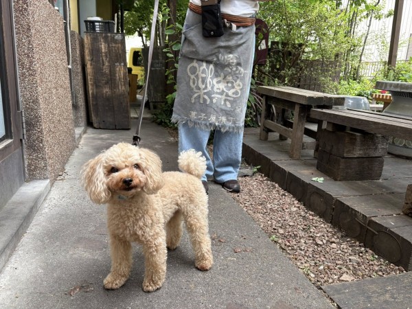 カメラマンさんからのお声がけで・・・サムネイル