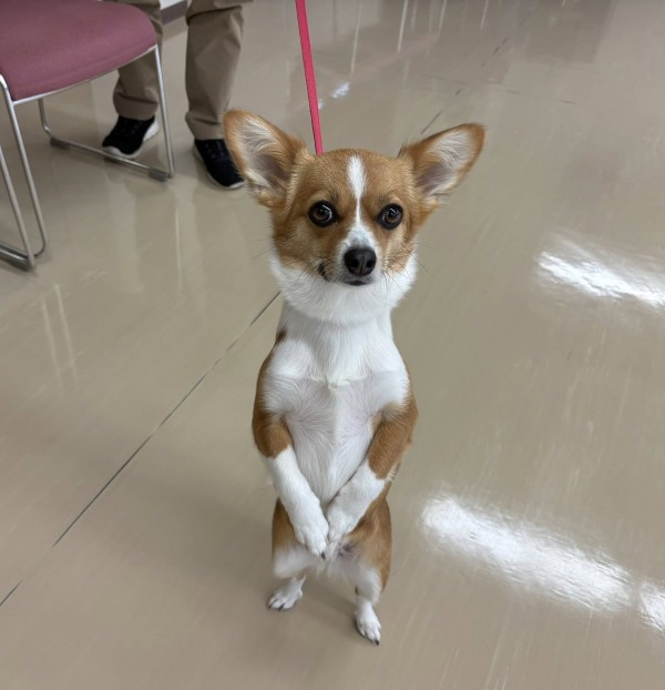 教室講師 帰りに 虹サムネイル
