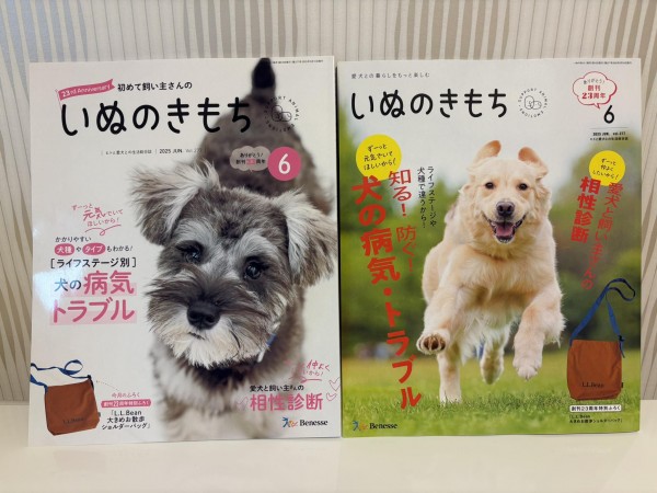 ２３周年特別企画 特集サムネイル