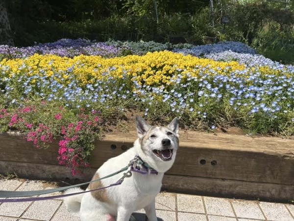 今月は２５日ですサムネイル