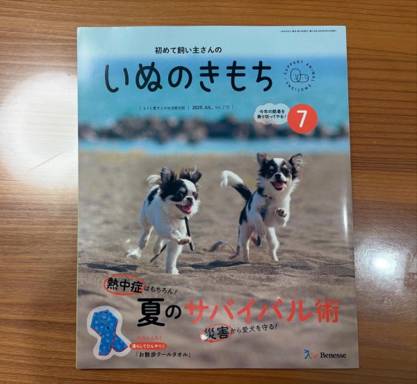 人気特集再掲載サムネイル
