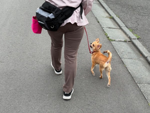 ワンちゃんの位置はどちらがお好み？サムネイル